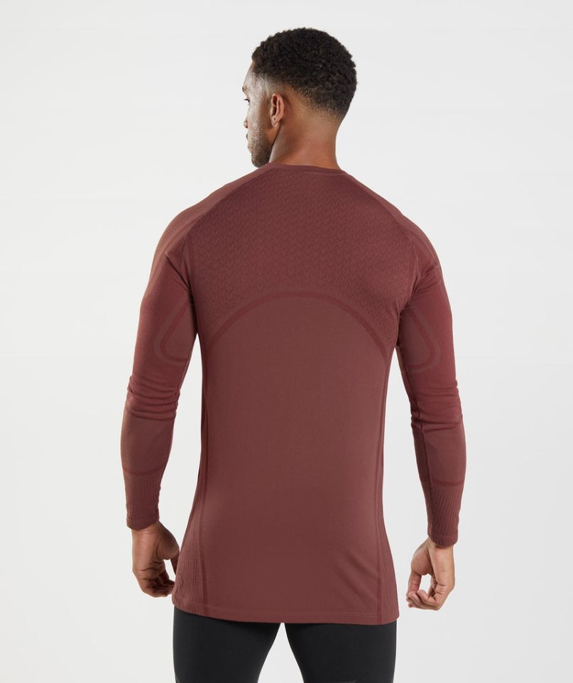 Koszulki Gymshark 315 Long Sleeve Męskie Brązowe | PL 084ESC